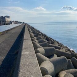 日中のテトラ帯でチヌ狙い